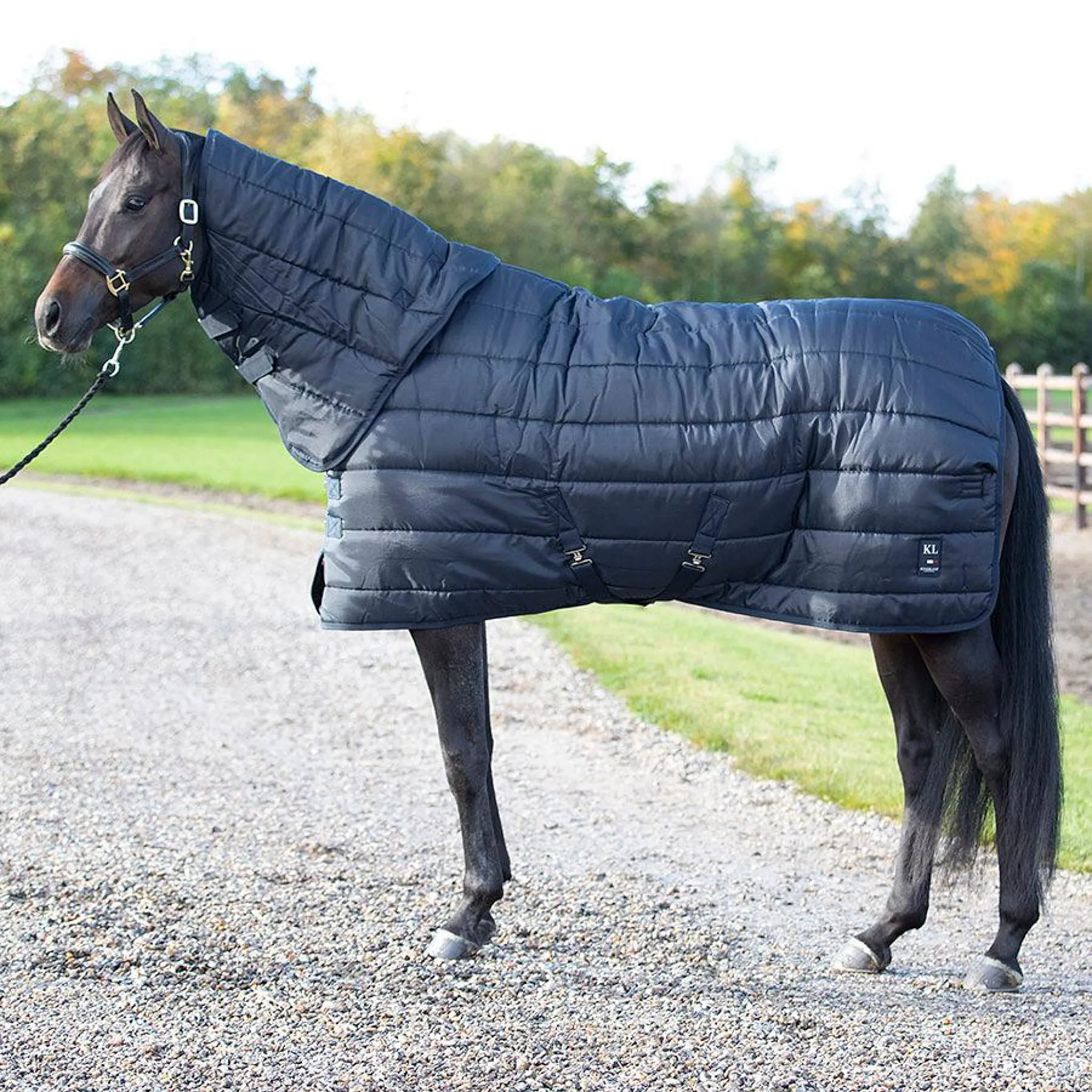 Classic Primary Stable Rug with Neck, 500g