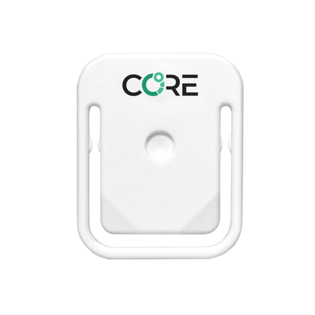 Core - Thermal Sensor