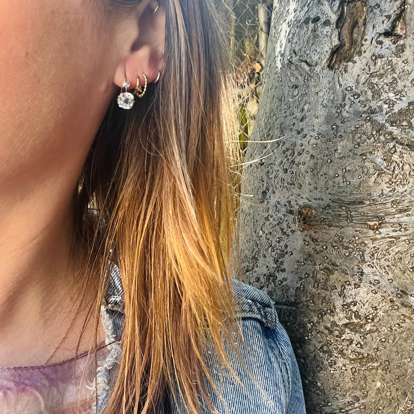 Dazzling Paste & Rose Cut Diamond French Earbobs