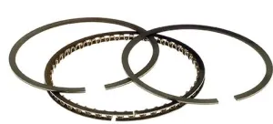 Hastings 2M6127 Moly Ring Set - 3.498in. Bore