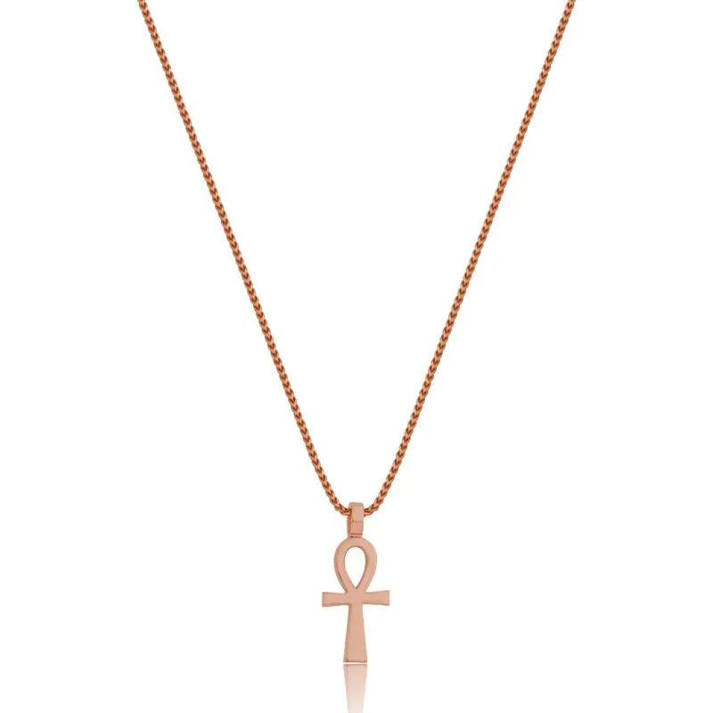 Nano Tori Ankh