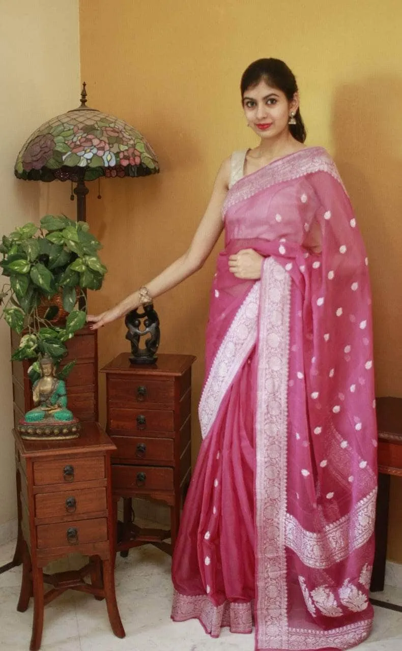 Pure chiffon  Handloom Banarasi Chiffon Khaddi Kariyal Saree