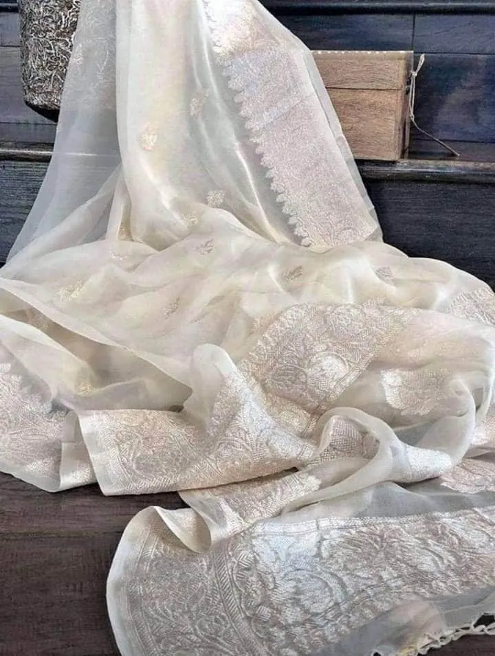 Pure chiffon  Handloom Banarasi Chiffon Khaddi Kariyal Saree