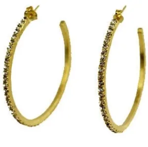 Sheila Fajl Beta Hoops
