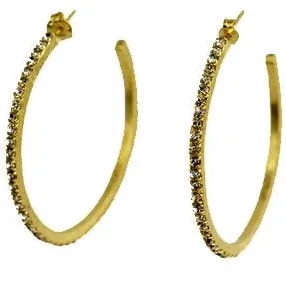 Sheila Fajl Beta Hoops
