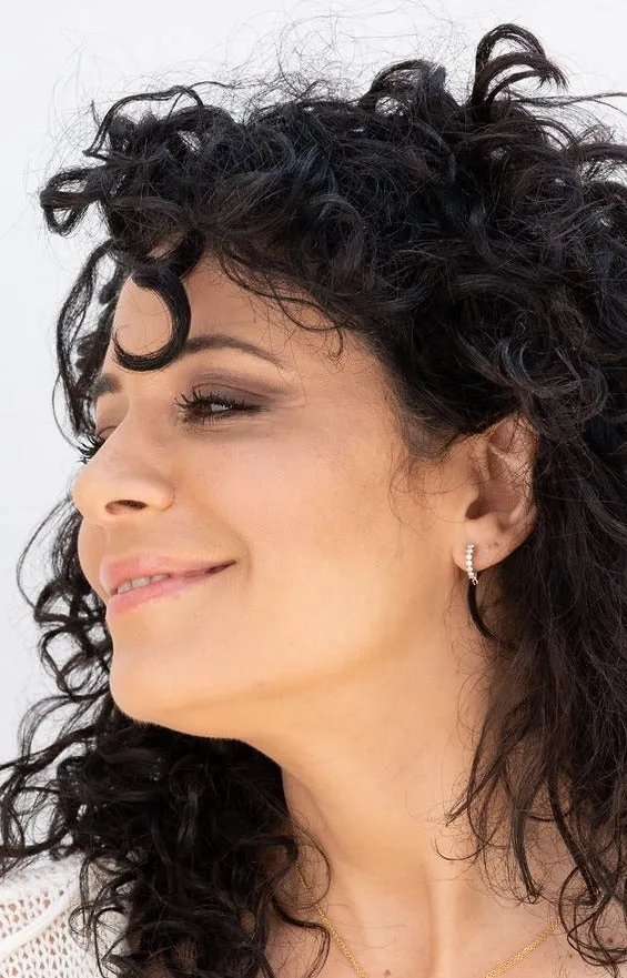 small diamonds hoop earrings