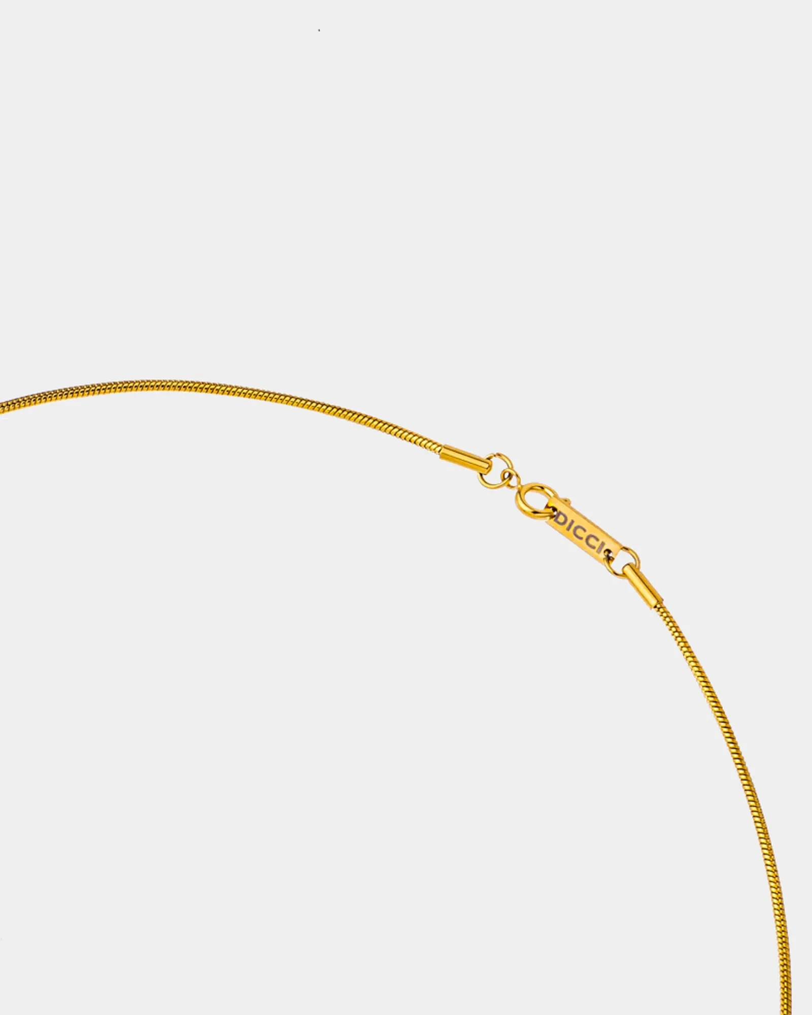 Snake Bone Chain Necklace