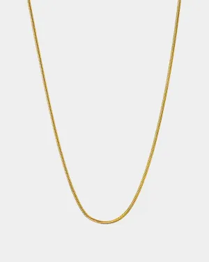 Snake Bone Chain Necklace