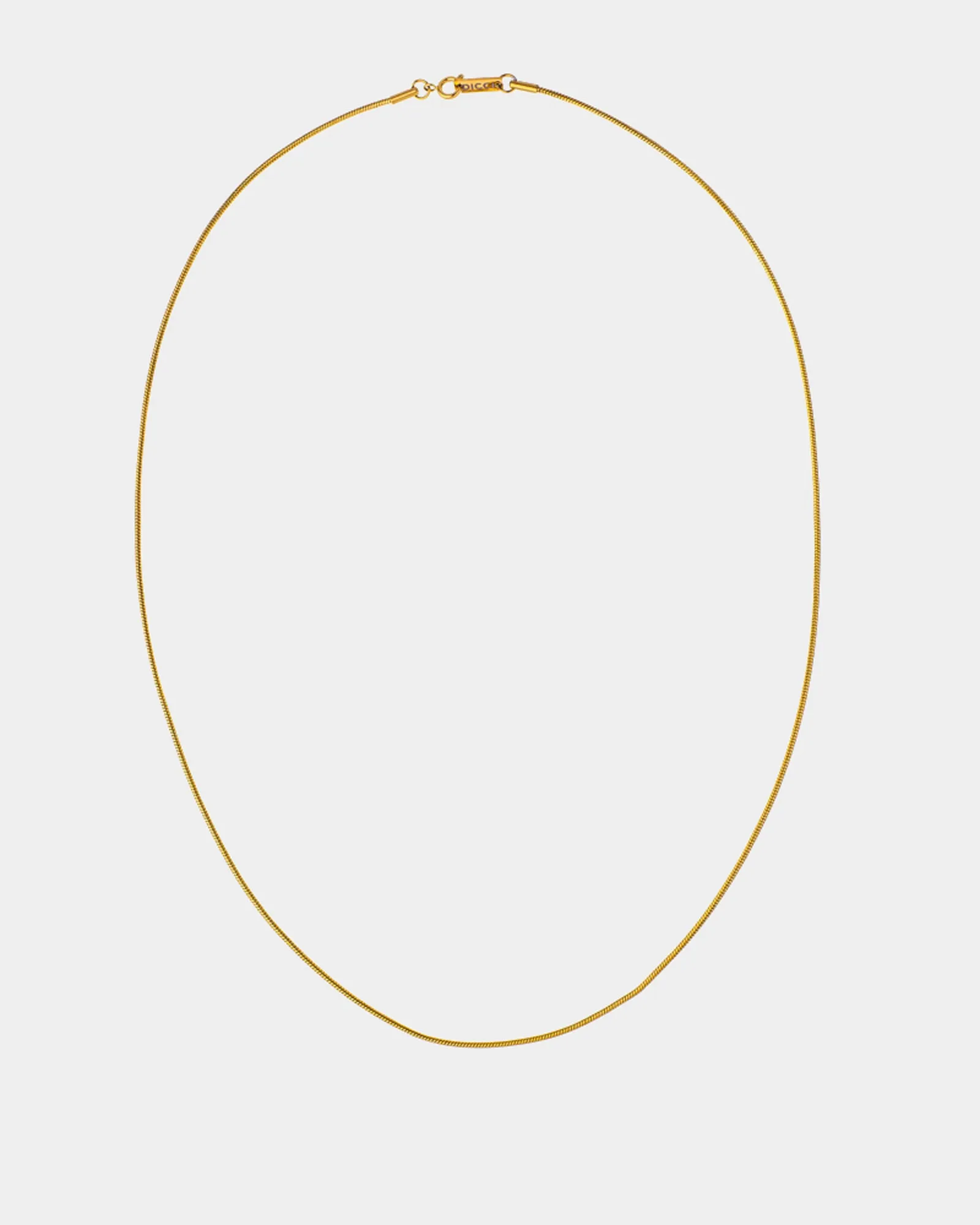 Snake Bone Chain Necklace