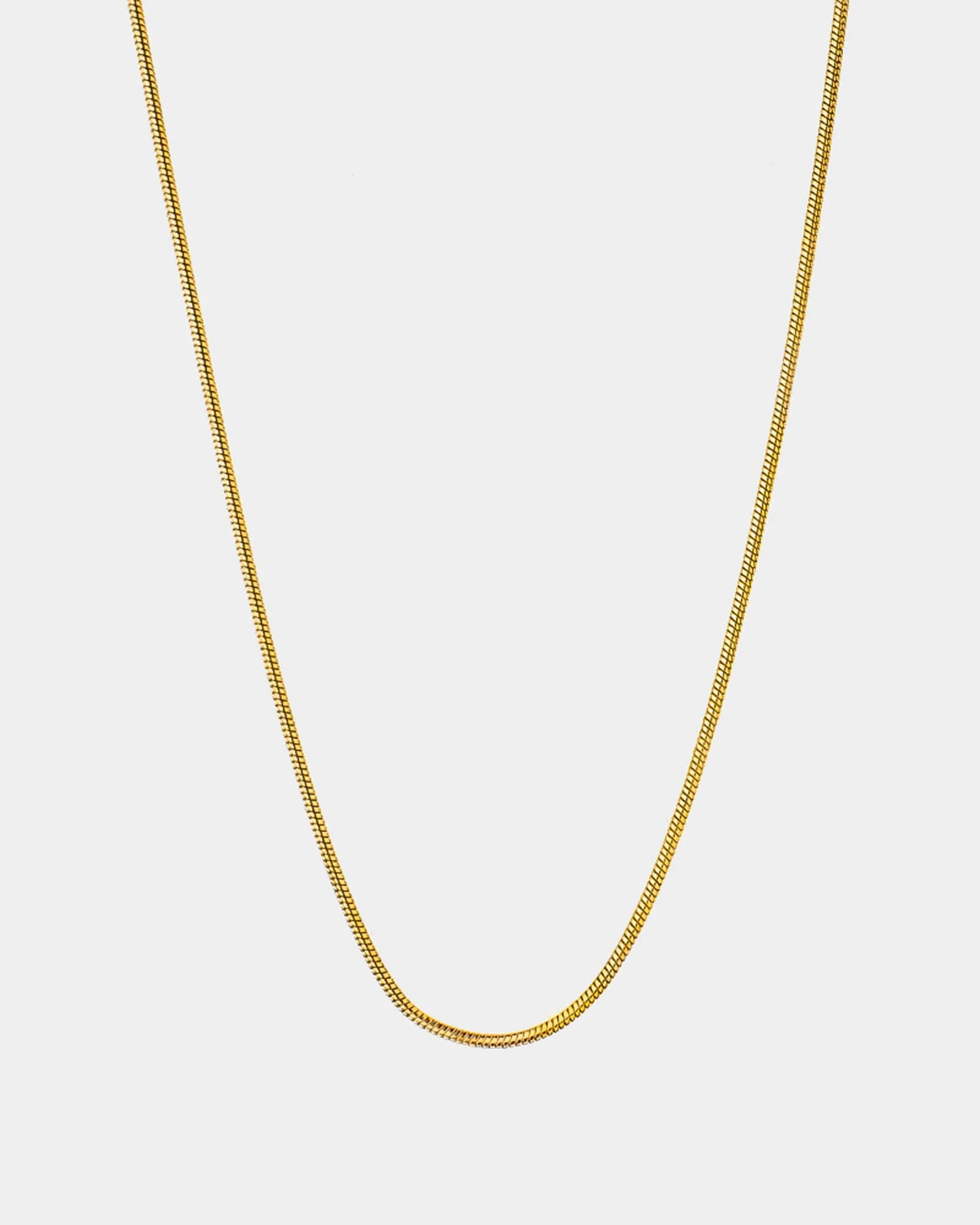 Snake Bone Chain Necklace