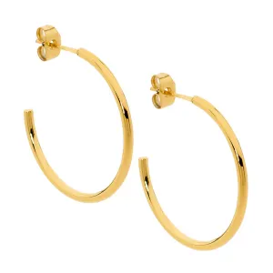 Stainless Steel Gold IP Plated Hoop Earrings 30mm SE211G-3
