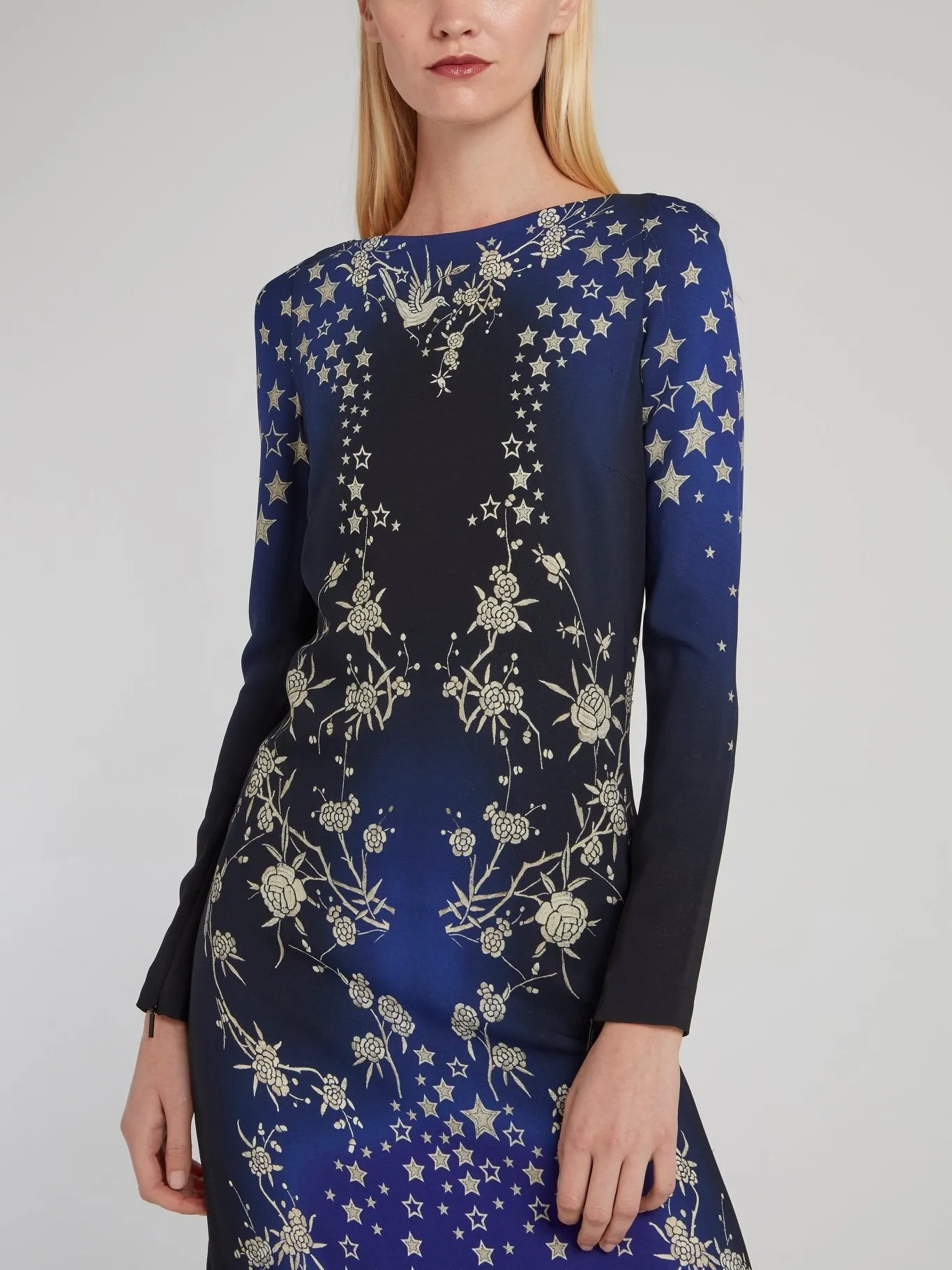 Star Print Rear Zip Maxi Dress