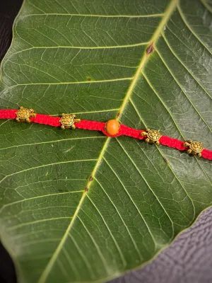 Trendy Designer Rakhi Tortoise/Turtle Designs On Red Thread Rakhi For Raksha Bandhan